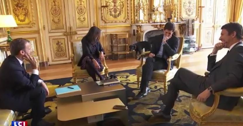 VIDÉO - Quand le chien d'Emmanuel Macron, se soulage en pleine réunion à l'Élysée